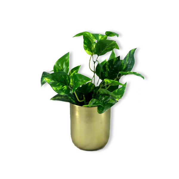 Curved Glossy Metal Table Top Pot / Planter in Rose Gold or Gold 1 BHK Interiors