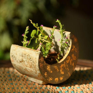 "Bright Side of the Moon" Concrete Table Top Pot / Planter in Grey with Gold Accents 1 BHK Interiors