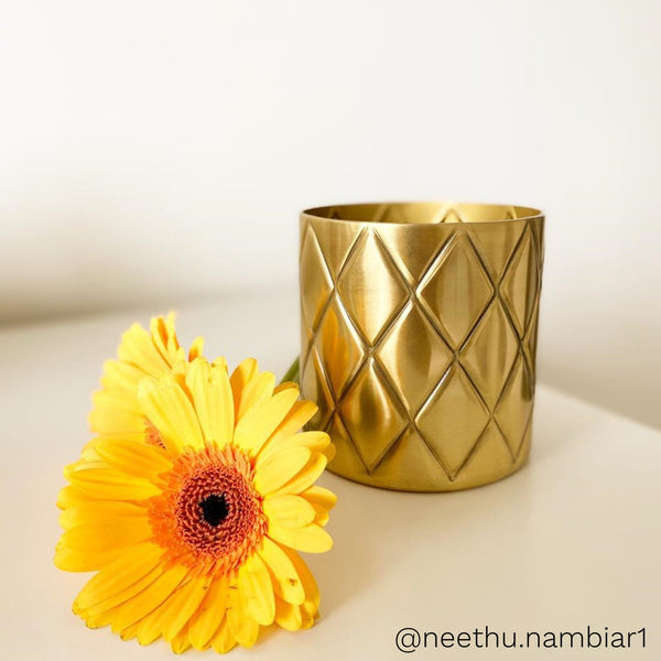 Metal Pineapple Criss Cross Planter / Pot in Gold 1 BHK Interiors