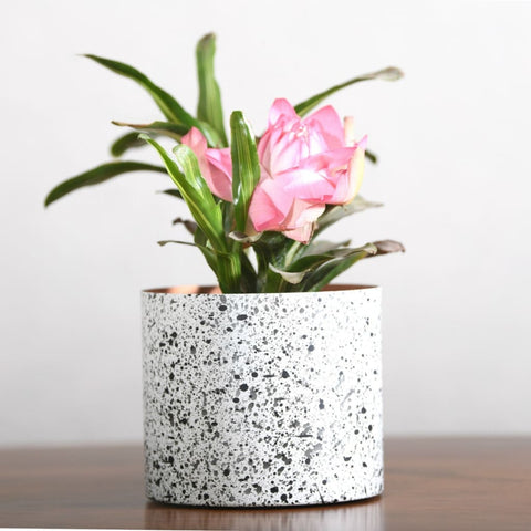 "Splatter" Print Metal Table Top Pot / Planter in Black & White 1 BHK Interiors